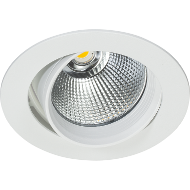 Easyform Silver Downlight ställbar 360°/ 20°